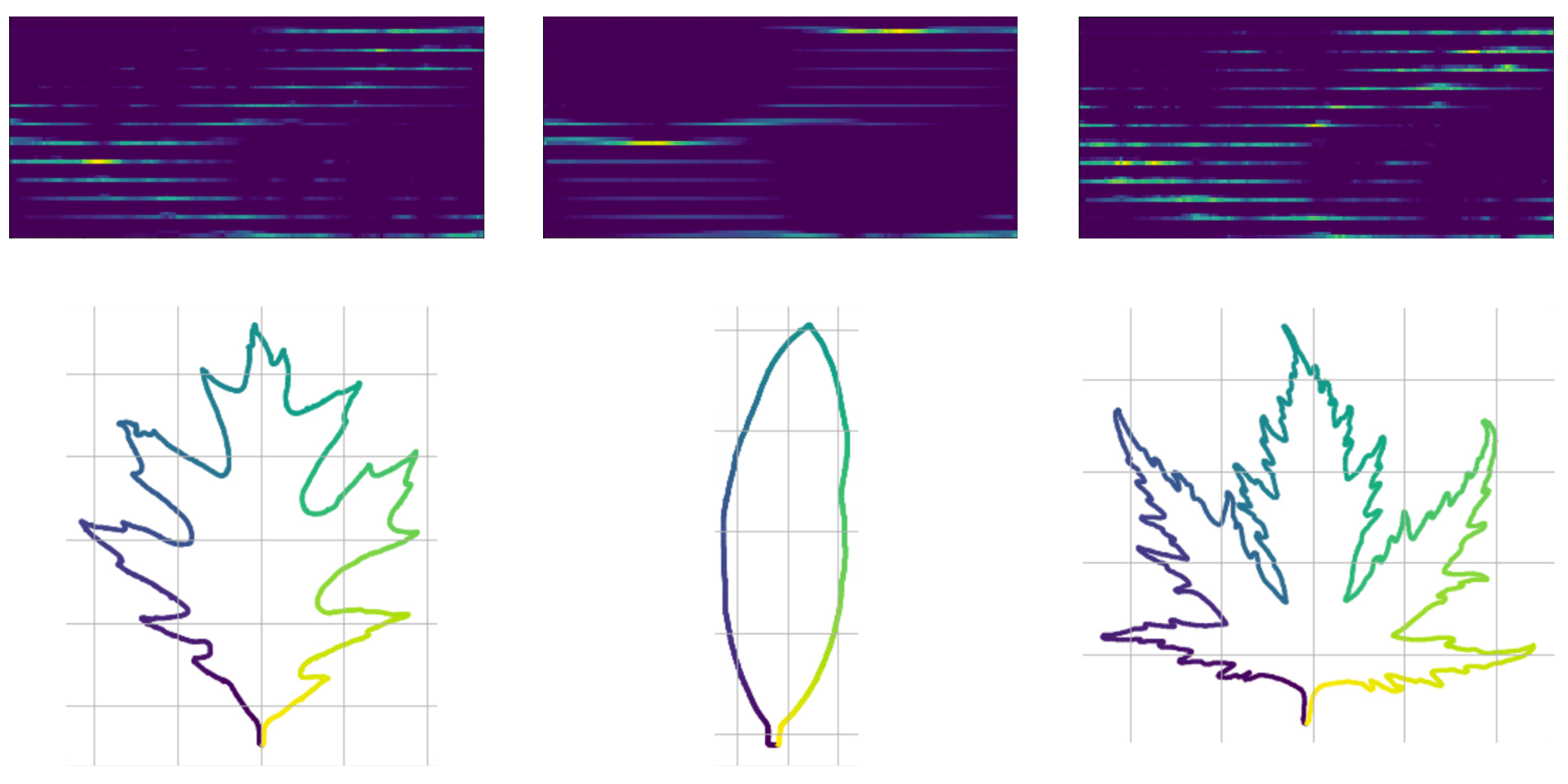 Leaf features